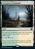 Overgrown Farmland