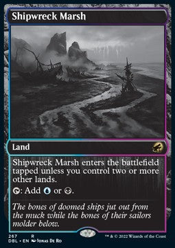 Shipwreck Marsh