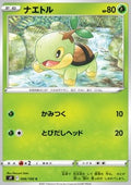 Turtwig - Star Birth (Common) [s9-006]