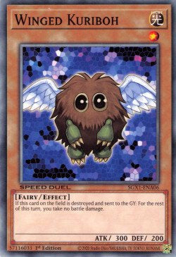 Winged Kuriboh (V.1 - Common) - Speed Duel GX: Duel Academy Box (Common) [SGX1-A06]