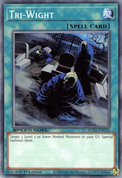 Tri-Wight - Speed Duel GX: Duel Academy Box (Common) [SGX1-C15]