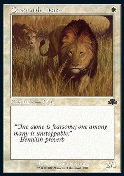 Savannah Lions