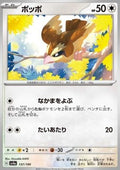 Pidgey
