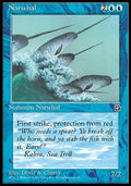 Narwhal