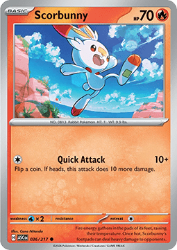 Scorbunny - Ascended Heroes (Common) [ASC-036]