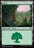 Forest (V.2)