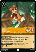 Chip - Retrieval Expert