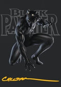 Art Series: Black Panther, Hope Enduring (V.2)