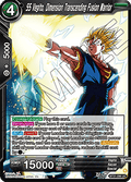 SS Vegito, Dimension Transcending Fusion Warrior