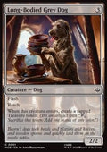 Long-Bodied Grey Dog