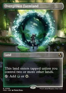 Overgrown Farmland