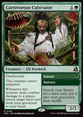 Carnivorous Cultivator // Enroot